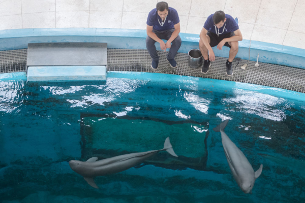 XxjpsgC007248_20230726_CBMFN0A021.jpg 星天地