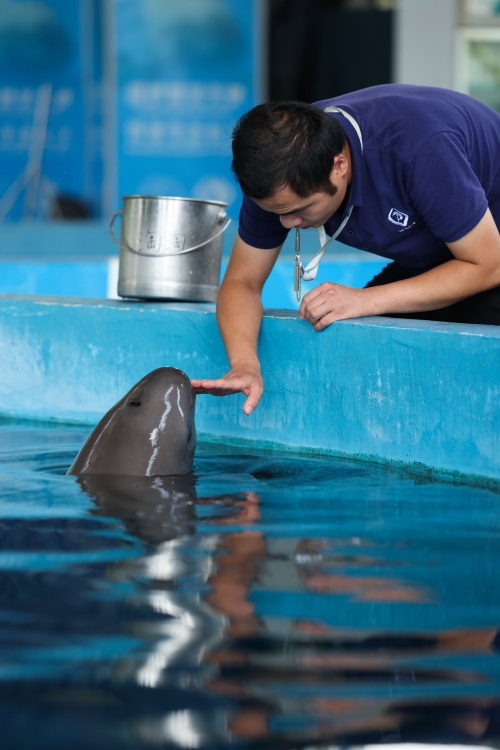 XxjpsgC007248_20230726_CBMFN0A005.jpg 星天地