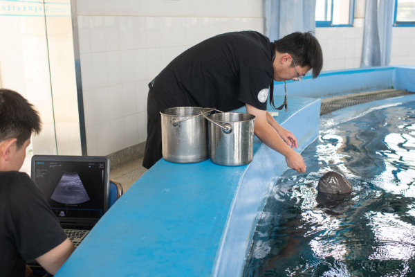 XxjpsgC007248_20230726_CBMFN0A003.jpg 星天地