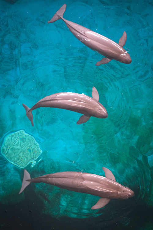 XxjpsgC007248_20230726_CBMFN0A013.jpg 星天地