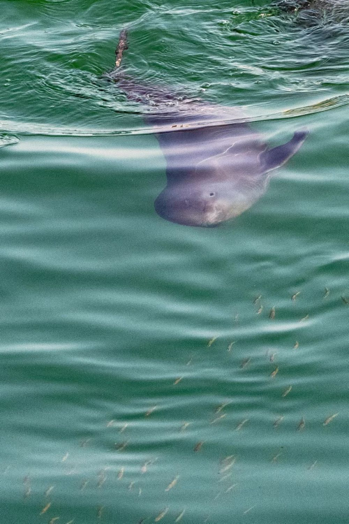 XxjpsgC007248_20230726_CBMFN0A019.jpg 星天地