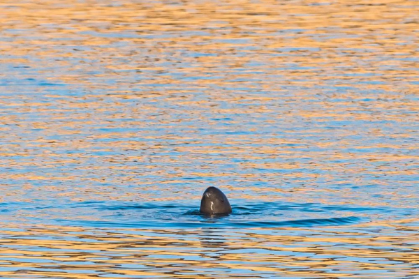 XxjpsgC007248_20230726_CBMFN0A012.jpg 星天地