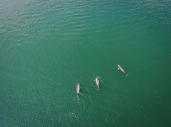 XxjpsgC007248_20230726_CBMFN0A014.jpg 星天地