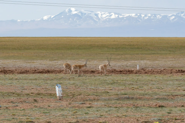 20230703c55db445473346eab9b9d6372512682b_20230703552e1f3ee9d7463eb322a7ad13539a6d.jpg 星天地