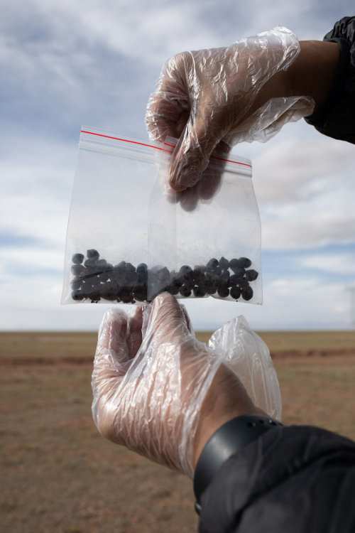 20230703c55db445473346eab9b9d6372512682b_202307033e985265499941529783222c64cdef5a.jpg 星天地