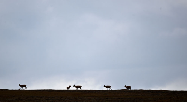 20230703c55db445473346eab9b9d6372512682b_202307036a2c08be98004da68bd347e942295666.jpg 星天地