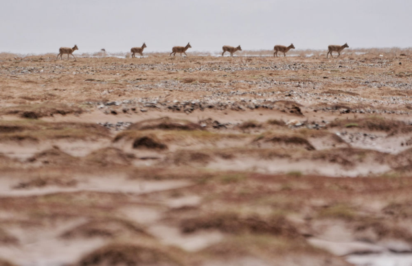 20230703c55db445473346eab9b9d6372512682b_202307031feb699648c34f70be88a71c088143f4.jpg 星天地