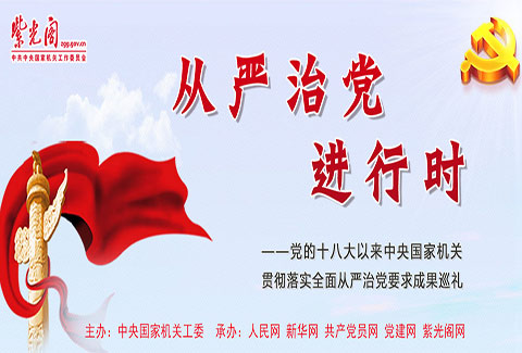 【紫光阁网】专题：从严治党进行时