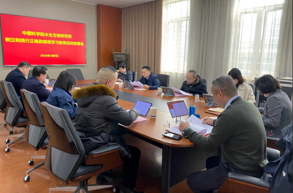 U020260312375784465251.png 星天地