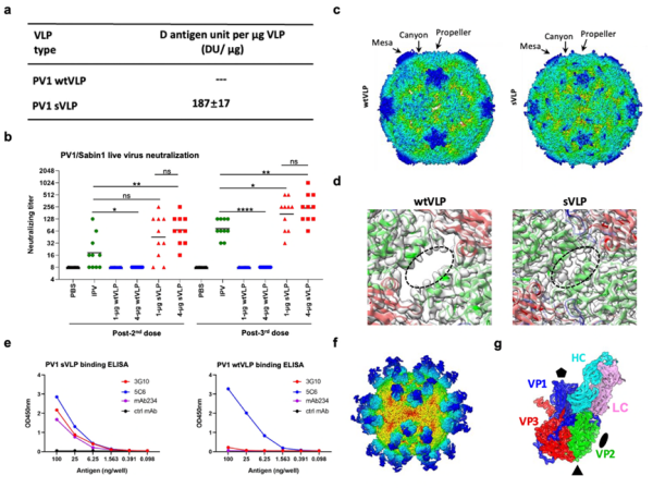 U020260306488160573644.png 星天地