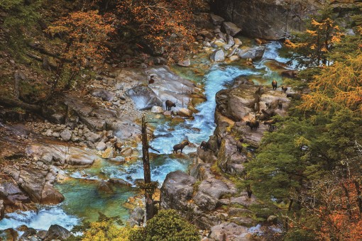 高黎贡山世界生物圈保护区