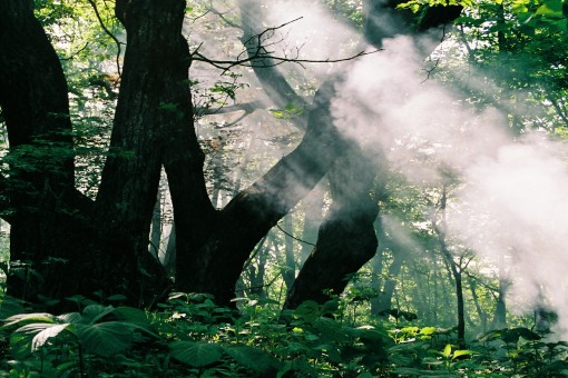 宝天曼世界生物圈保护区