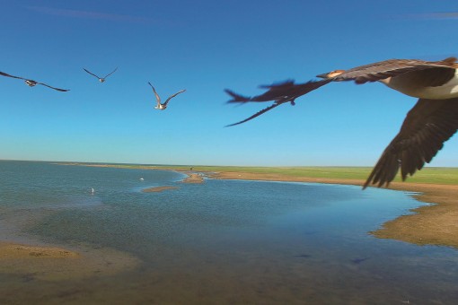 达赉湖世界生物圈保护区
