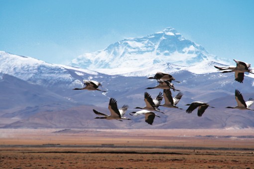 珠穆朗玛世界生物圈保护区