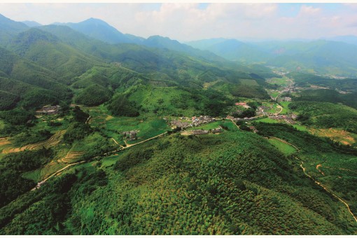 车八岭世界生物圈保护区