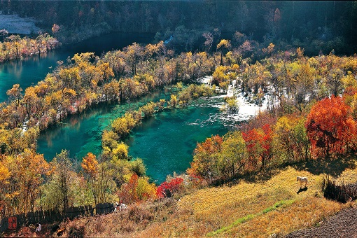 九寨沟世界生物圈保护区