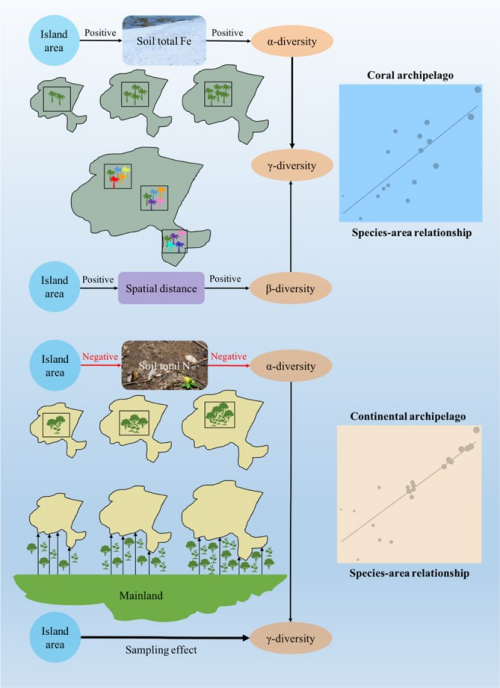 图3. 热带珊瑚岛和热带大陆性海岛具有不同的物种多样性维持机制。 星天地