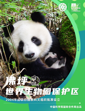 佛坪世界生物圈保护区