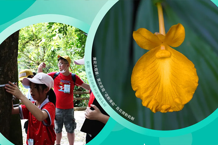 我国第一个自然保护区的“双碳”答卷