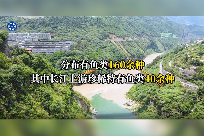 科技守护赤水河：十年禁渔重塑长江生态屏障
