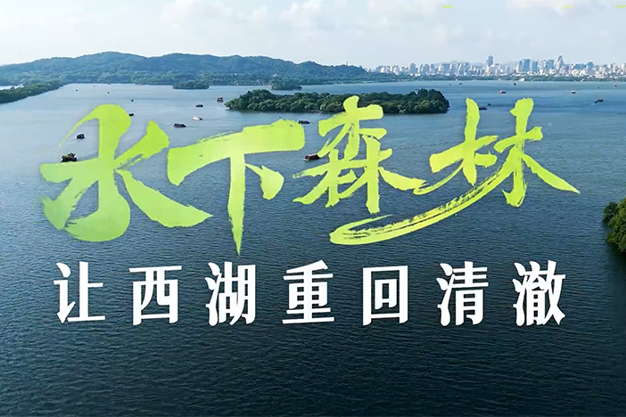 “水下森林”让西湖重回清澈
