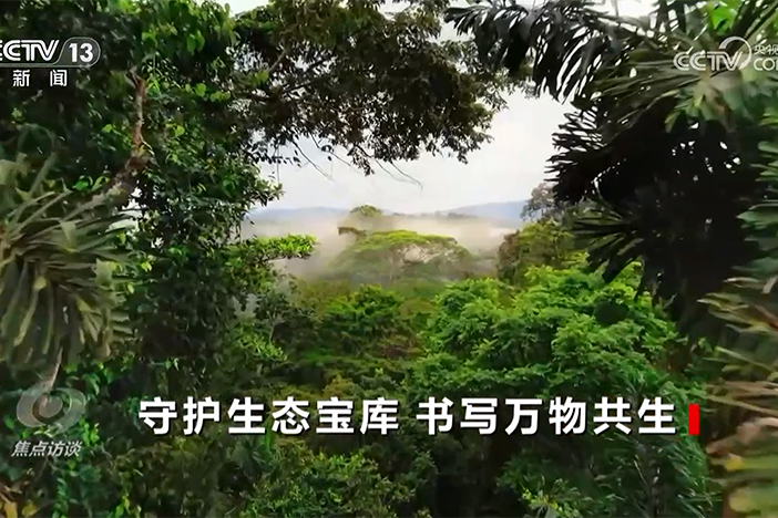 【焦点访谈】守护生态宝库 书写万物共生