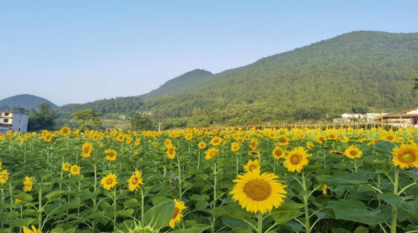 640X800_pub_cb20230718120246044066.jpg_0865c8276387416f9e1cc4598840ada6.jpg 星天地