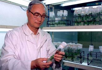 杨弘远：花草树木亦有情(图)