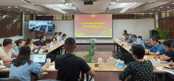 U020240923787769589102.jpg 星天地